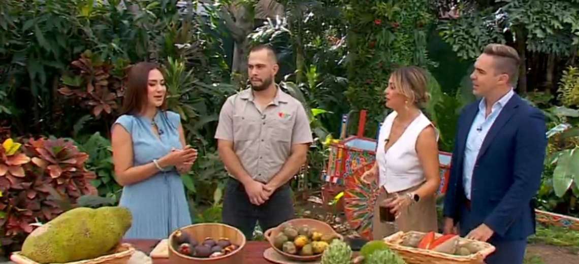 Jackfruit, mangostán, zapote y yuplón: cuatro frutas para descubrir
