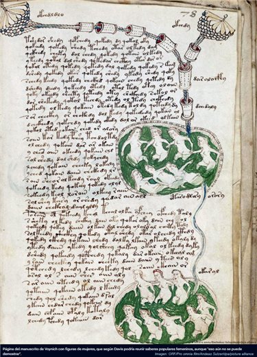 El manuscrito indescifrable que intriga al mundo: 600 años de misterio podrían llegar a su
