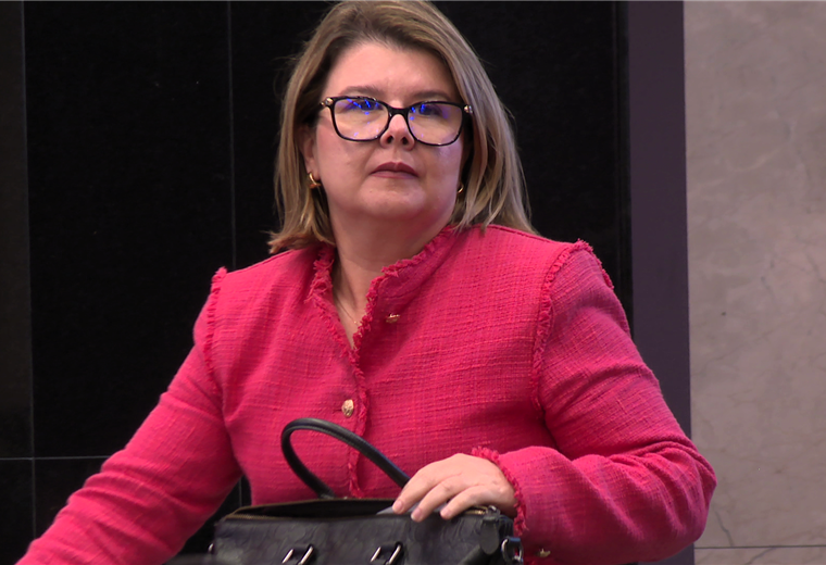 Directora ejecutiva Poder Judicial, Ana Eugenia Romero