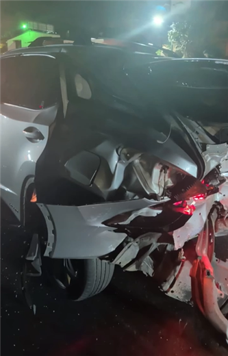 ¿Quién se hace responsable si una mascota sufre una lesión en un accidente de tránsito?