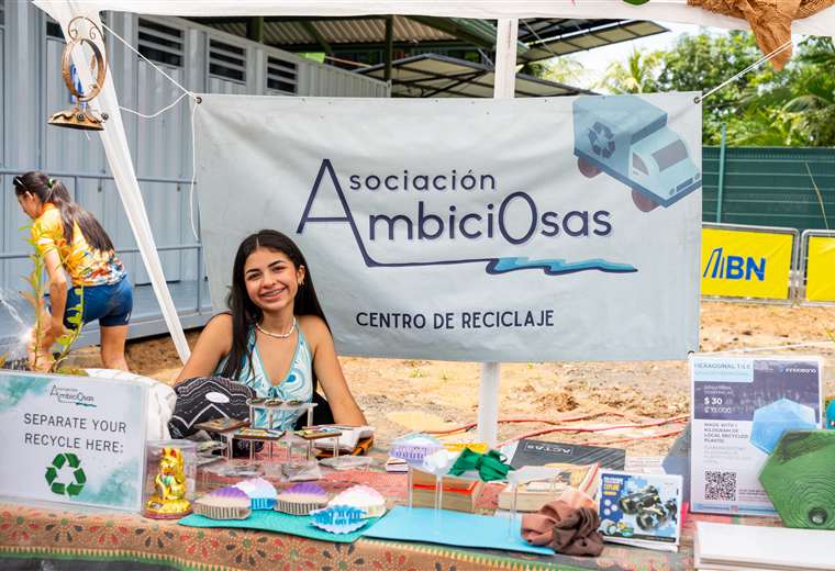 BN Festival de Ballenas y Delfines
